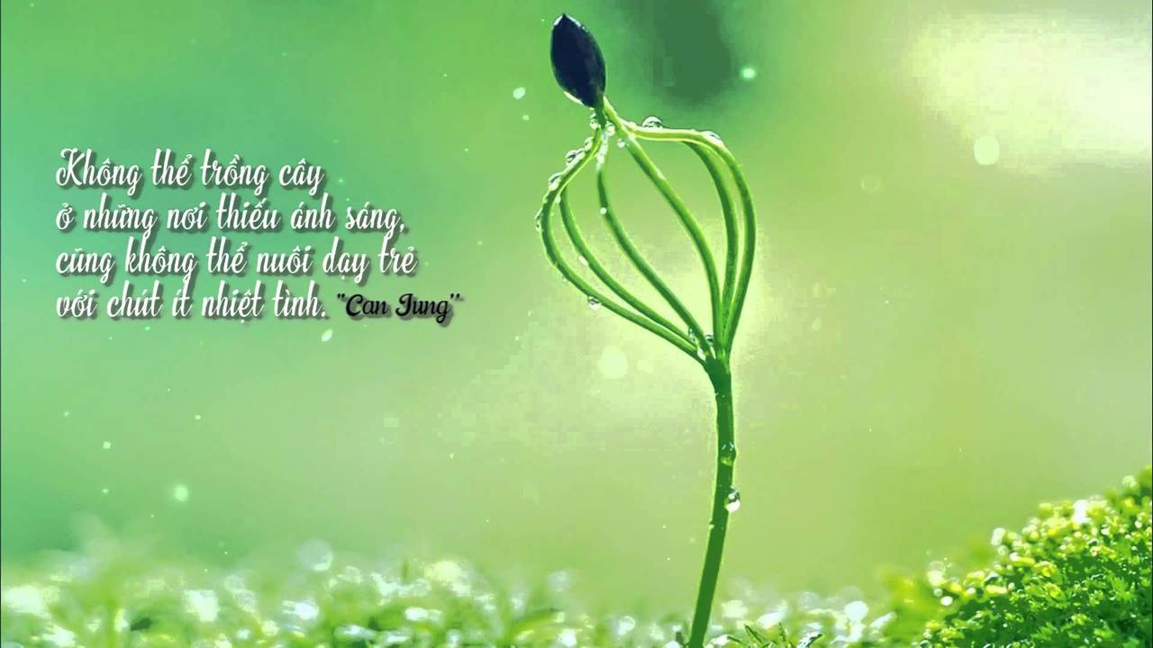 DÒNG TÂM SỰ CỦA CÔ GIÁO TRẺ TRONG MÙA HỌC ONLINE